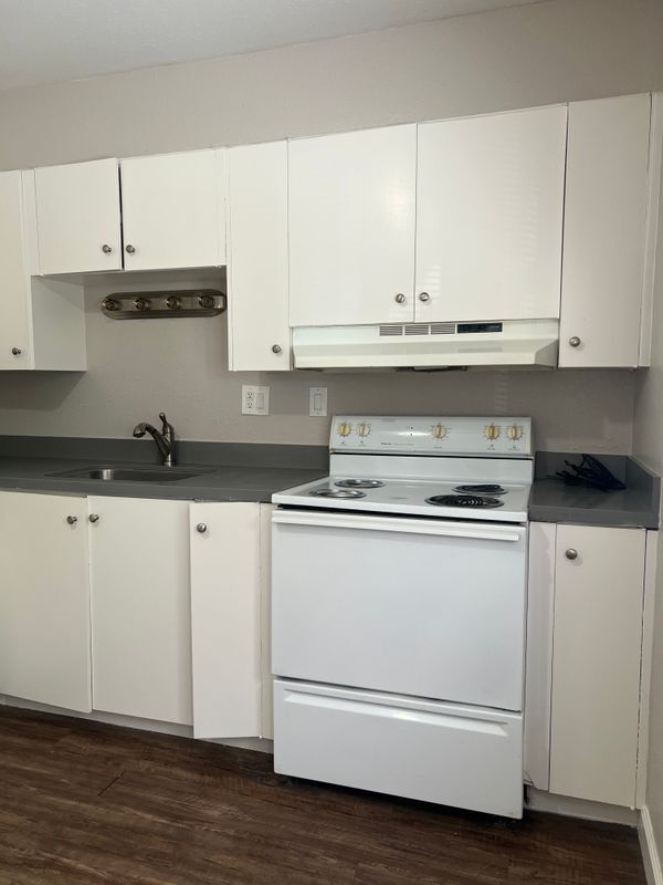 Building Photo - 3401 Hillsborough Dr
