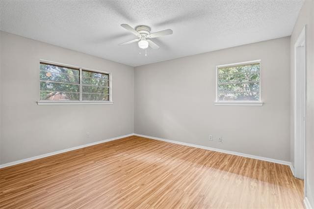 Building Photo - 1237 Wedgewood Dr