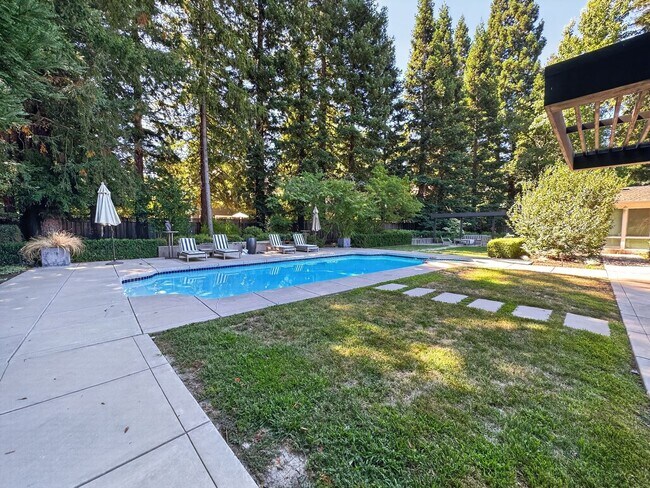 Building Photo - Gorgeous 4 Bedroom PLUS Spacious Bonus Room with Pool in Desired Alamo Neighborhood Available Now!