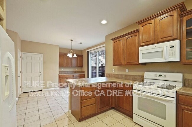 Building Photo - 441 Picasso Cir