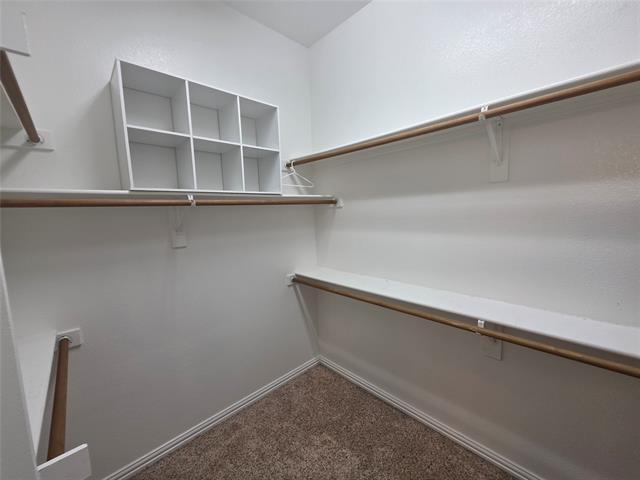 Building Photo - 2717 Cliffwood Dr