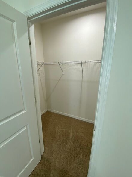 Building Photo - 3033 Neverland Dr