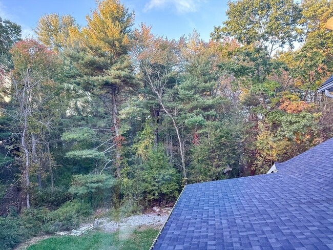 Building Photo - 125 Maple St