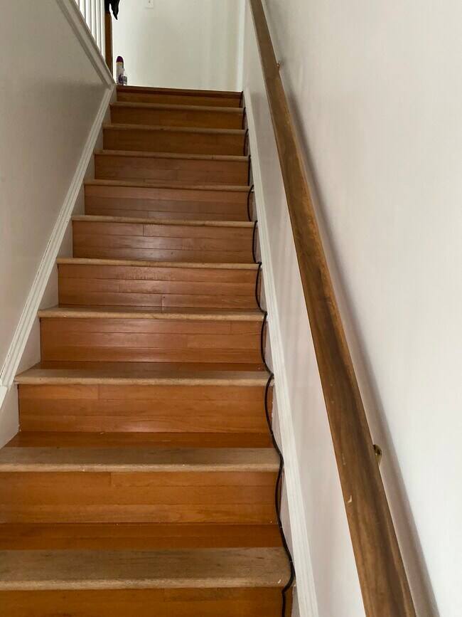 Building Photo - 65 Chestnut Dr