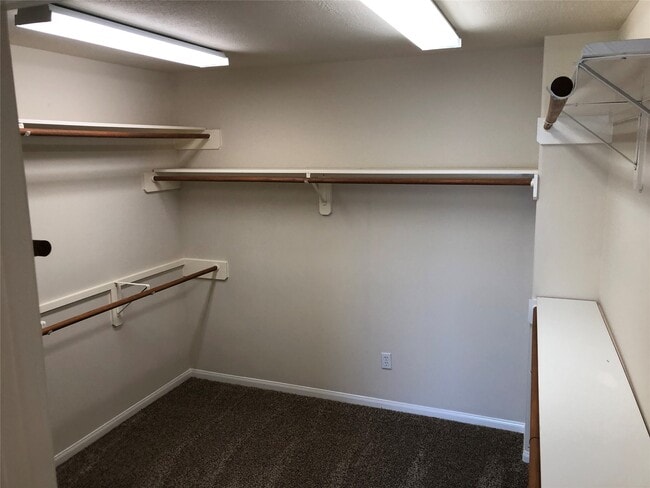 Building Photo - 1602 Candleston Ln