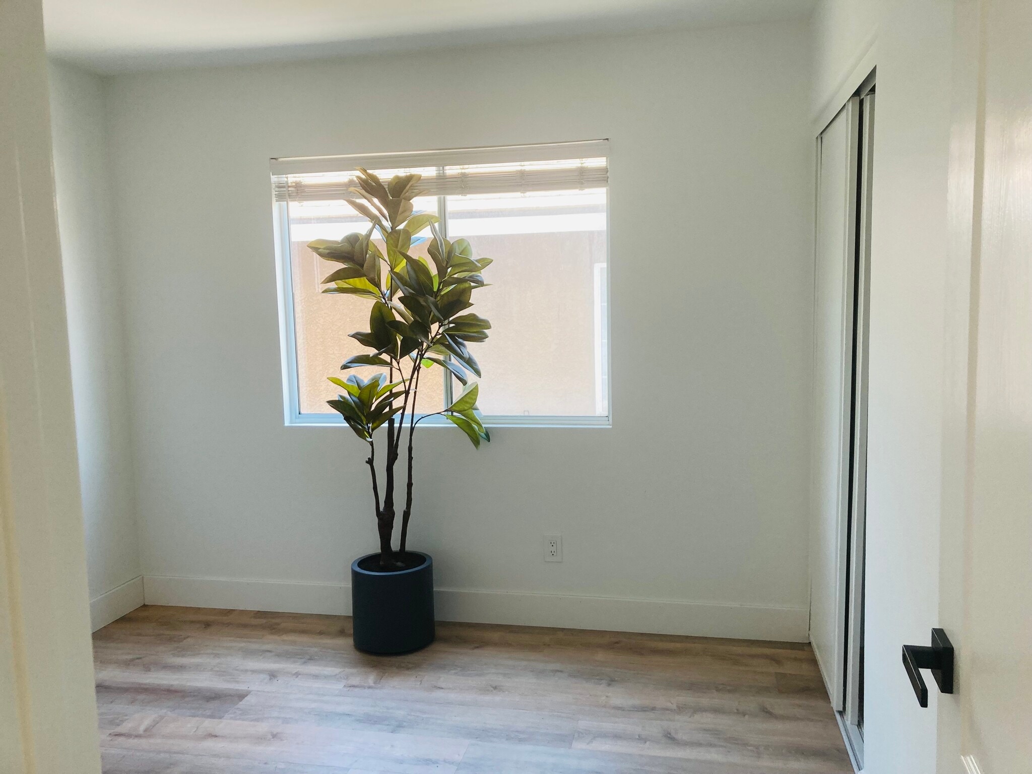 Building Photo - 23808 Woodpark Ct