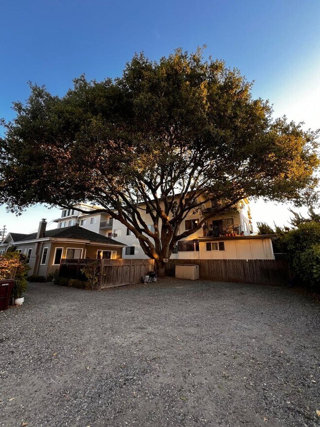 Building Photo - Welcome To Your New Home In The Heart Of O...
