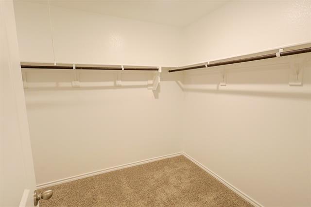 Building Photo - 4005 Malachite Dr