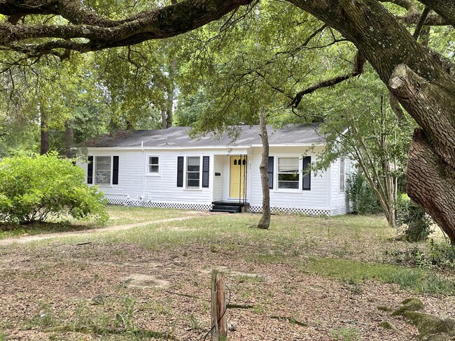 Building Photo - 217 Moreland Dr