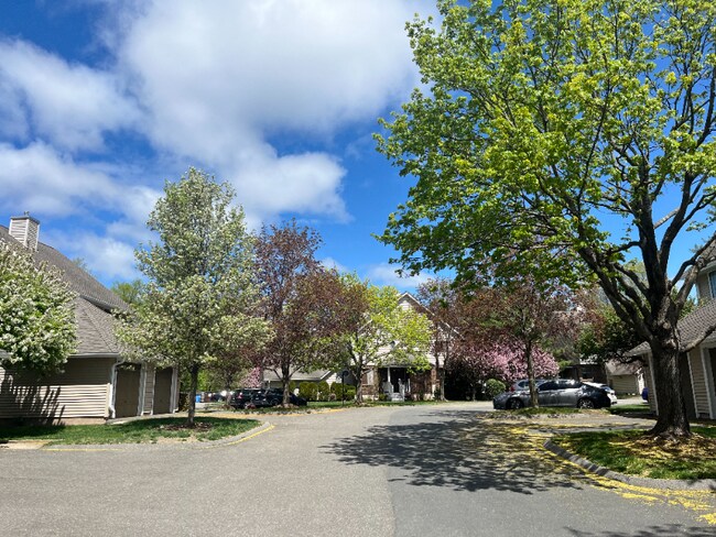 Building Photo - 62 Fox Run Ct