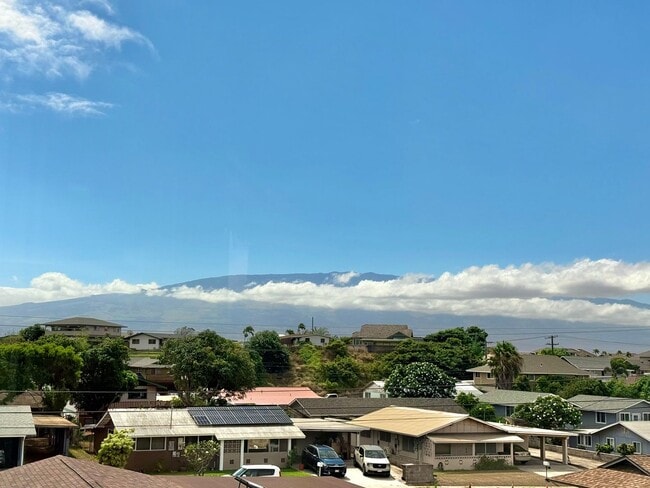 Building Photo - 357 Hilu Pl