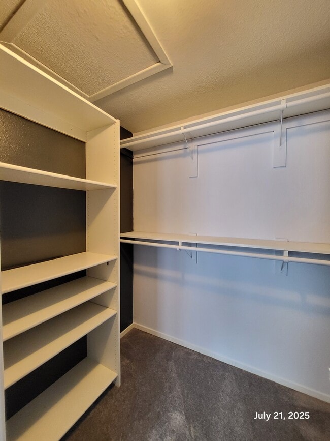 Building Photo - 9004 Cape Wood Ct