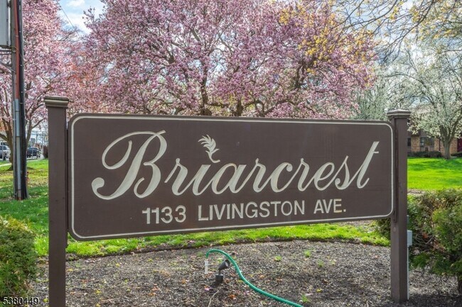 Primary Photo - 1133 Livingston Ave