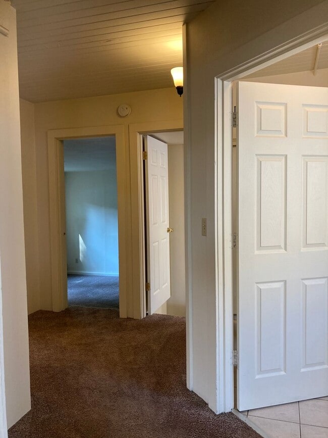 Building Photo - Campus House ~ 4 bedroom, 2 bath