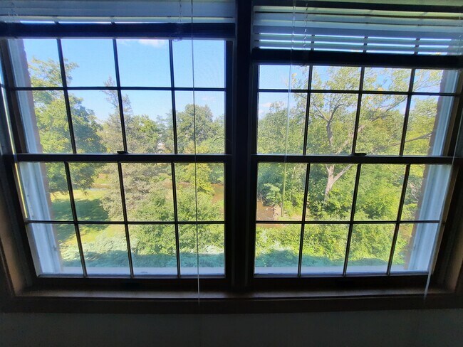 Window View in Master Bedroom - 1450 Wing St
