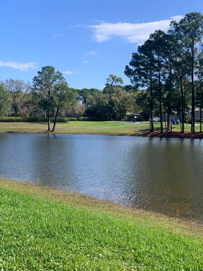 Building Photo - 3/2 Pool Home in Manderley Run