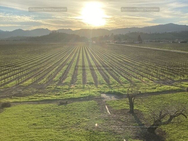 Building Photo - Upper Carriage house Flat with deck & expansive Vineyard and Sunset views