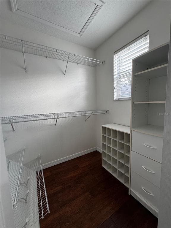 Building Photo - 5102 Monticello Heights Ln