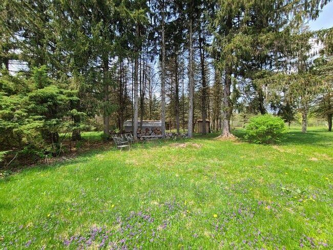 Building Photo - 2 Bedroom 1 Bath Home In Coloma