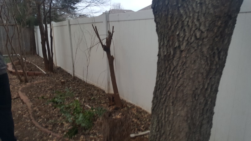 Building Photo - 3251 Rosebank Dr