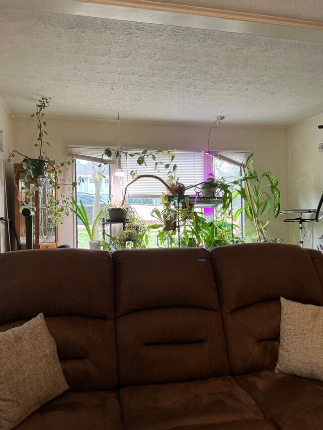 Building Photo - 3 Bedroom 1 Bath Near UGA and 5 Points! Available August 10th!