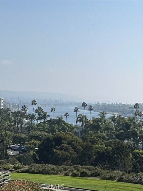 Primary Photo - 230 Lille Ln