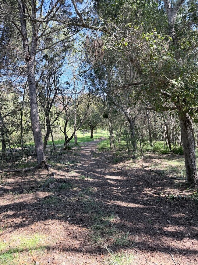 Building Photo - Exclusive Newport Terrace Condos - Trails to the Beach!