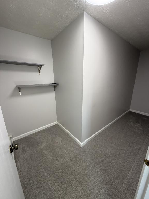 Building Photo - 118 Carter Cir