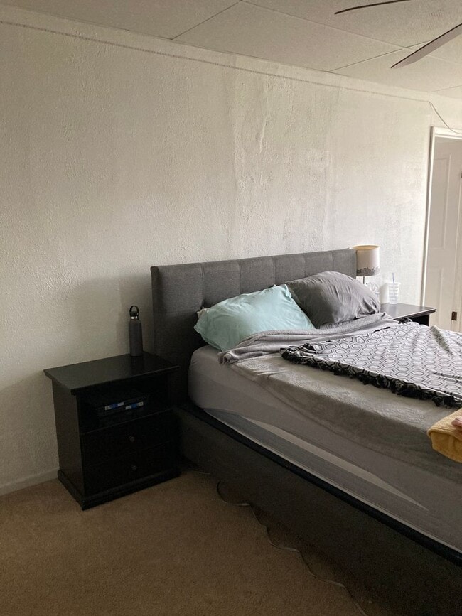 Building Photo - 3+ Bedroom / 2 Bath Single Family Home Ava...