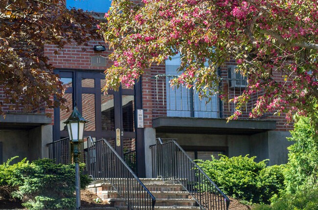 Building Photo - 25 Darling St