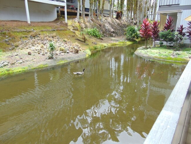 Building Photo - Waiakea Villas Condo - Studio w/ full kitchen plus lanai