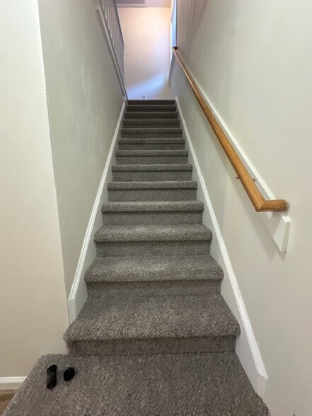 Stairs - 747 S Rosemont Rd