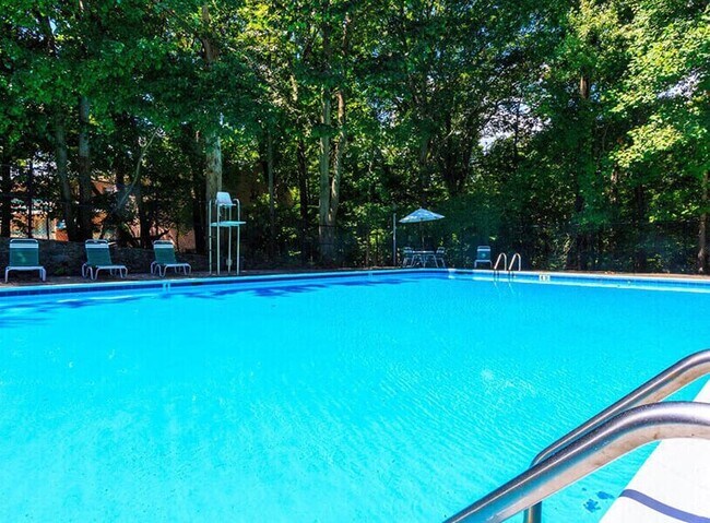Sparkling Swimming Pool with Sundeck - The Forest Apartments