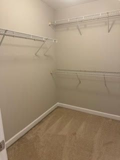 Building Photo - 136 Herman St