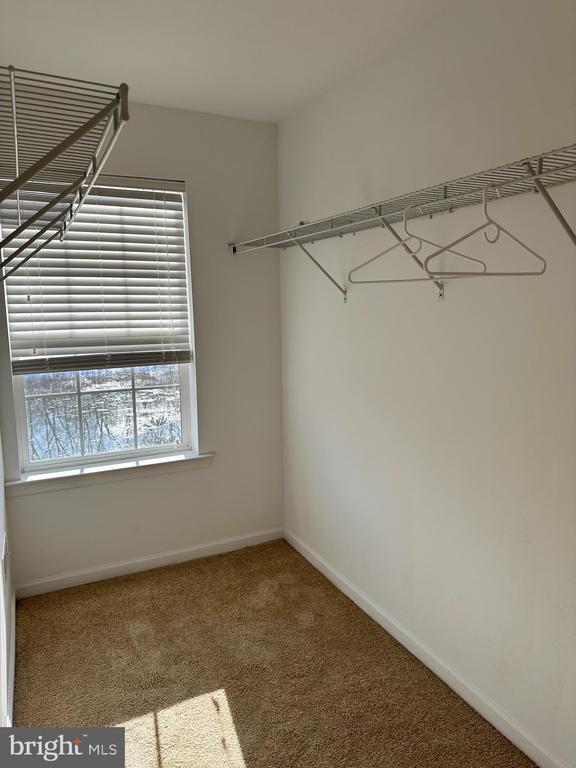 Building Photo - 3910 Cephas Child Rd