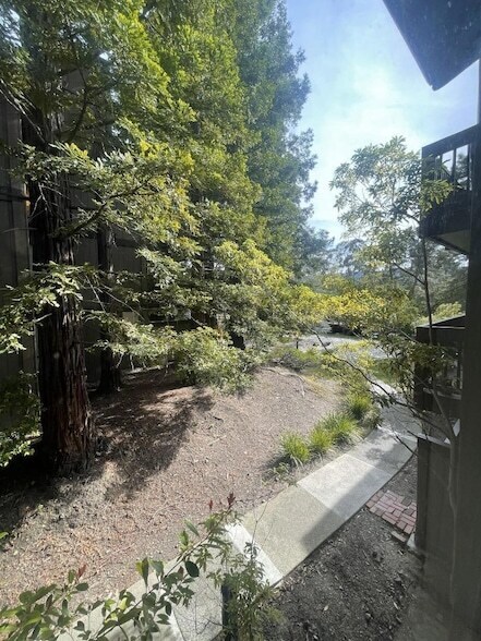 Building Photo - 3316 Brittan Ave