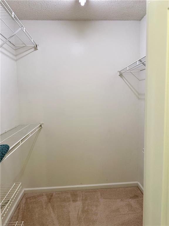 Building Photo - 10900 Wittenridge Dr