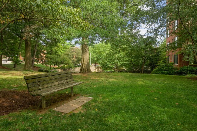 Building Photo - Walk to Georgetown! One Month Concession! Professionally Managed & Recently Renovated // 1 Bedroo...