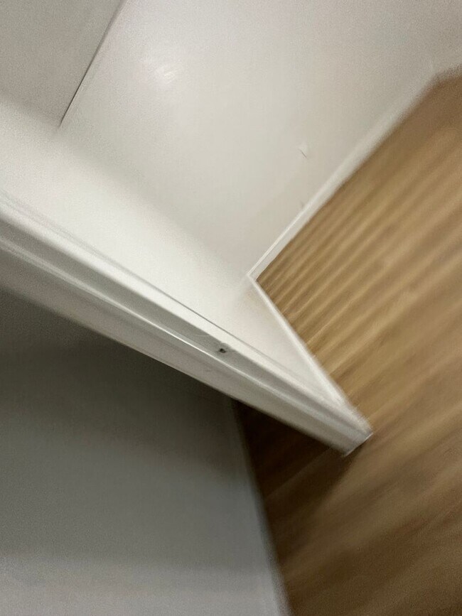 Building Photo - This is a 3bedroom 1 Full bathroom house which has a spacious living room, dining room and full k...