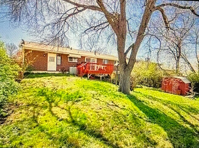 Backyard - 6359 Yarrow St