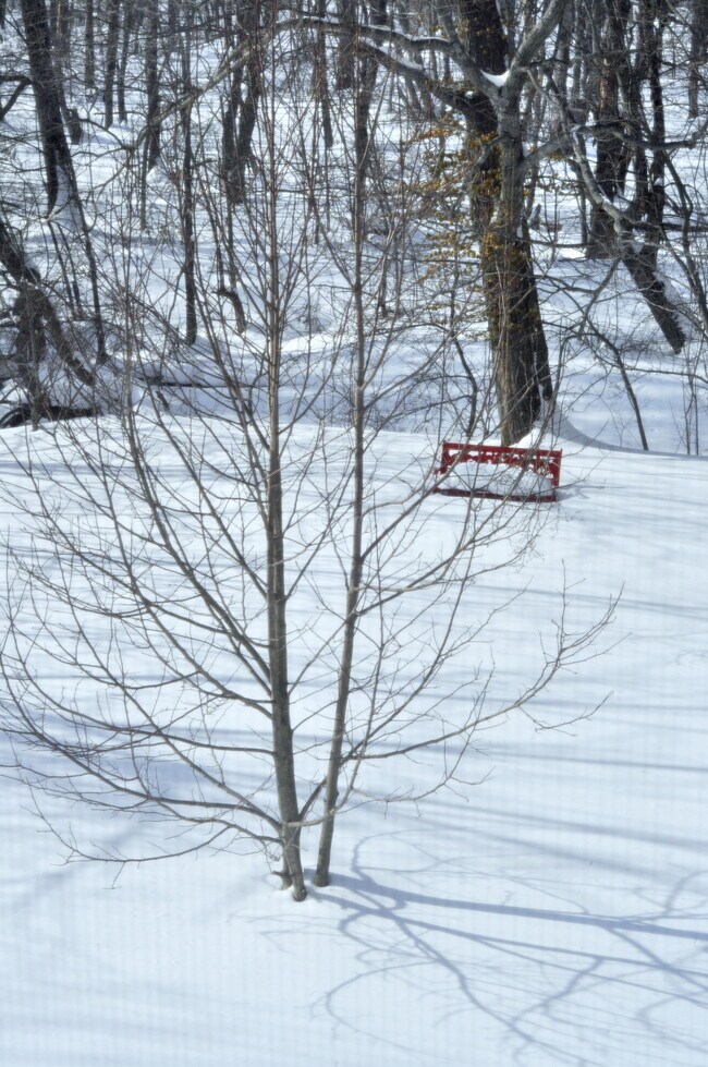 Building Photo - 199 Court St