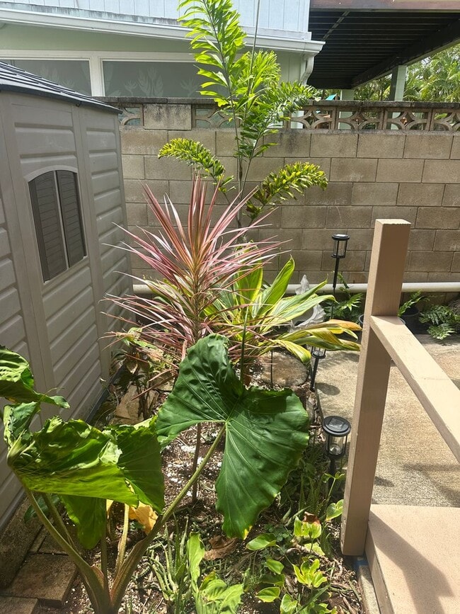 Building Photo - 550 Uluhala St