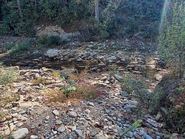 Building Photo - Beautiful One Bedroom Cabin on your own Pr...