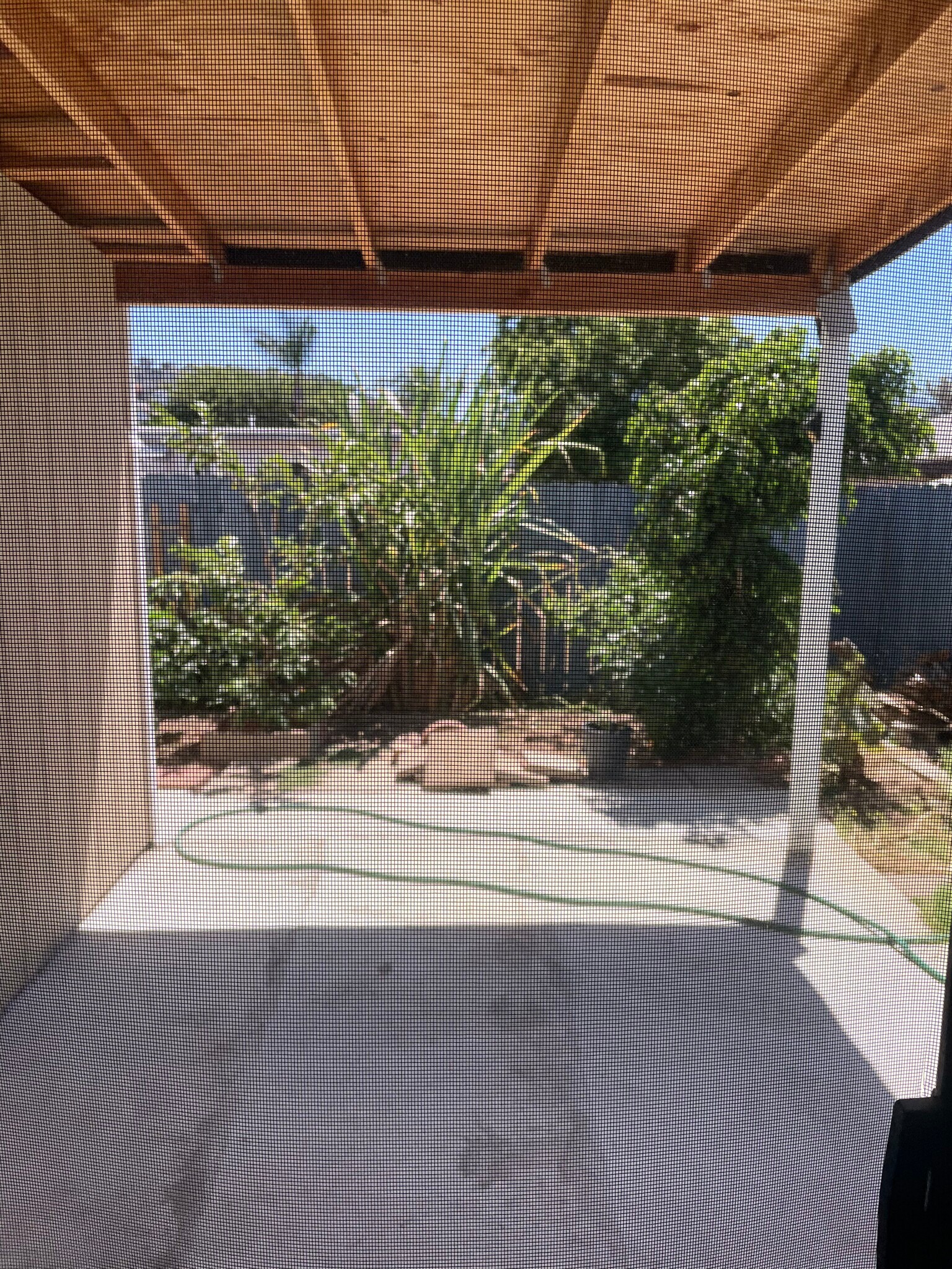 Building Photo - 935 Ramona Ave