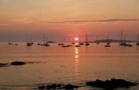 Building Photo - 159 Hills Beach Rd