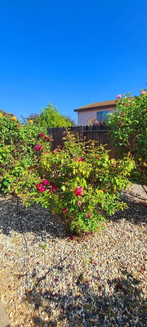 Building Photo - BEAUTIFULLY MAINTAINED SINGLE FAMILY HOME ...