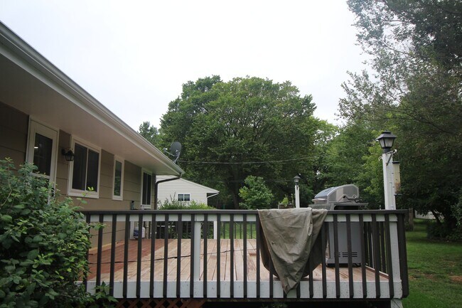 Building Photo - Beautifully updated 'Tonka rental available! 3 beds 2 baths in Royal Hills!