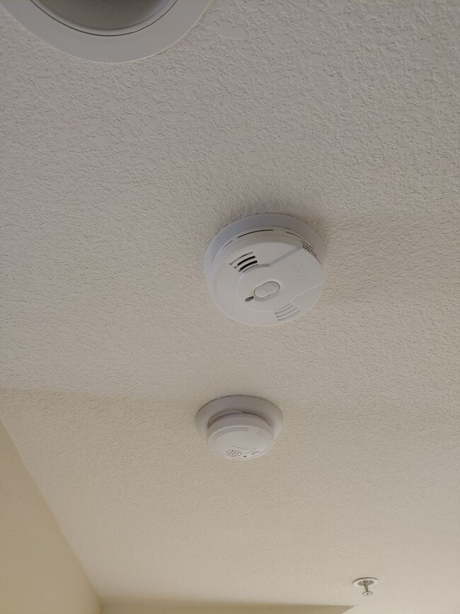 Building Photo - Gorgeous Spacious TownHome in Downtown Mou...