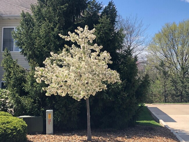 Building Photo - 1100 Kennesaw Ridge Rd