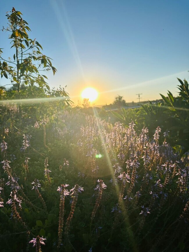 Building Photo - Beautifully Updated 3 Bed, 2 Bath Home in West Vista